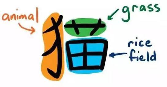 小學中文暑期補習課程